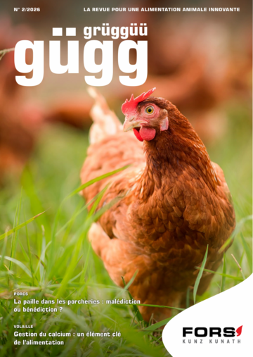 public:guegg:guegg202602.png